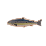 Salmon Pretend Food
