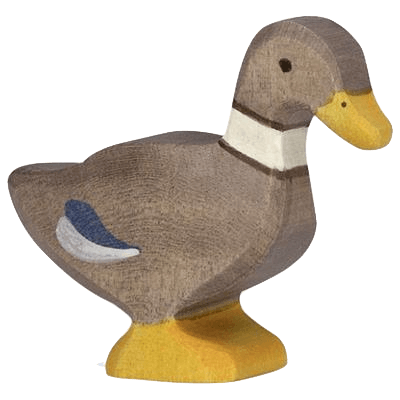 Duck