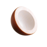 Coconut Pretend Food