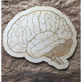 The Brain Puzzle
