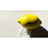 Lemon Pretend Food