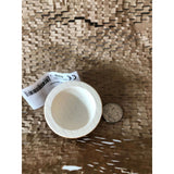 Coconut Pretend Food