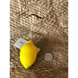 Lemon Pretend Food