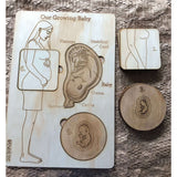 Our Growing Baby Puzzle