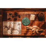 Jumbo Dino Fact Cards