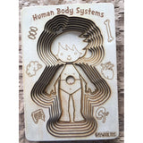 Human Body Systems-Male