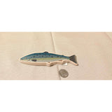 Salmon Pretend Food