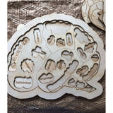 The Brain Puzzle