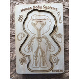 Human Body Systems-Male