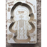 Human Body Systems-Female