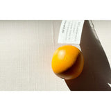 Orange Pretend Food