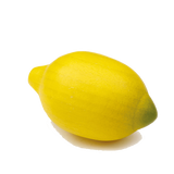 Lemon Pretend Food